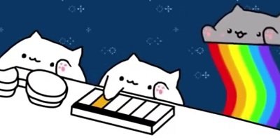邦戈貓