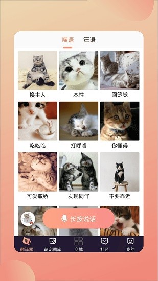 人貓交流翻譯器app下載