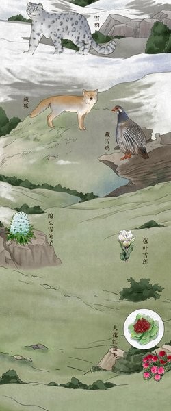 中國珍稀動(dòng)植物分布圖2021最新版