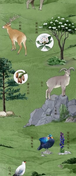 中國珍稀動(dòng)植物分布圖2021 高清版 2