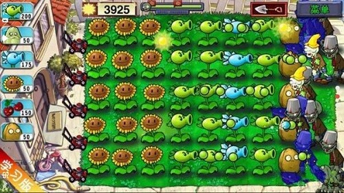 植物大戰(zhàn)僵尸teamtop3下載