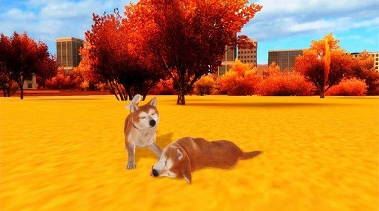 秋田犬模擬器(Akita Dog Simulator) v1.0.1 安卓版 2