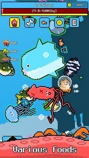 大王烏賊(squid) v1.0.17 安卓版 3