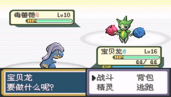 口袋妖怪黑暗升起1金手指