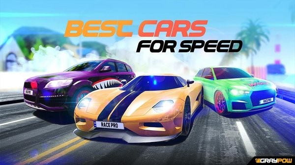 職業(yè)賽車手 v1.8 安卓版 0
