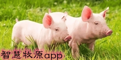 智慧牧原