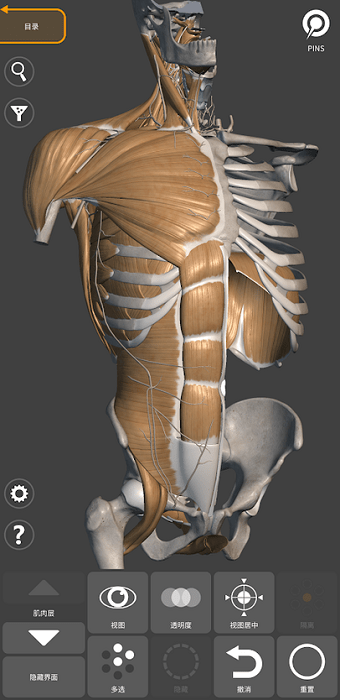 3d anatomy for artist手機(jī)版 v2.0.10 官方最新版 0