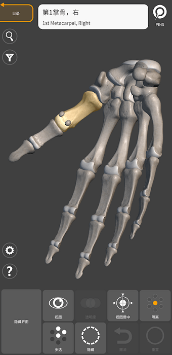 3d anatomy for artist安卓版