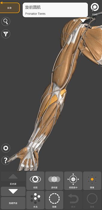 3d anatomy for artist手機(jī)版 v2.0.10 官方最新版 1