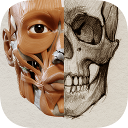 3d anatomy for artist手機(jī)版