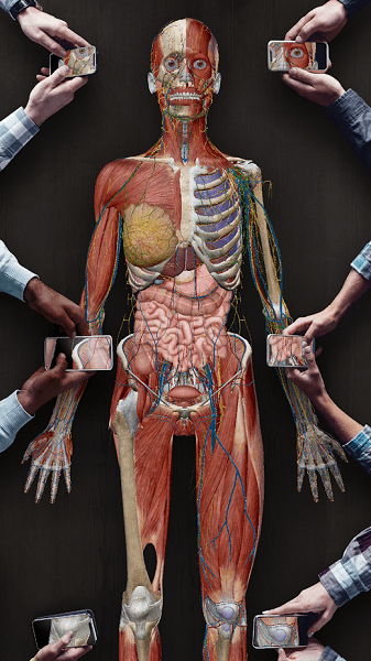 human anatomy atlas 2021 v2021.2.27 安卓手機(jī)版 0