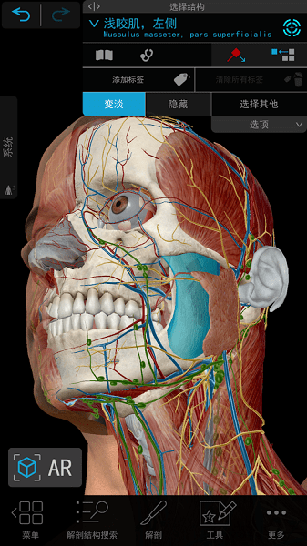 human anatomy atlas 2021 v2021.2.27 安卓手機(jī)版 3