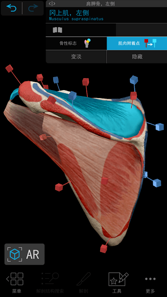human anatomy atlas 2021 v2021.2.27 安卓手機(jī)版 1