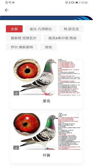 唐山邢小信2