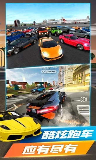 真實(shí)汽車競(jìng)賽 v1.1 安卓版 0
