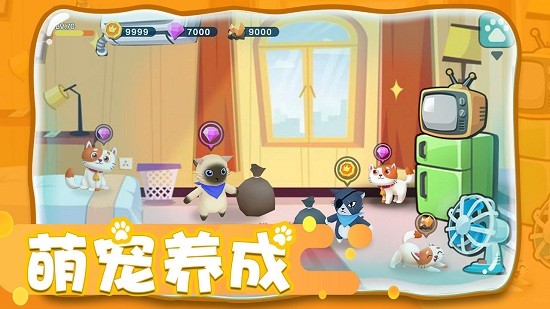 冒險(xiǎn)人生與寵同行 冒險(xiǎn)人生與寵同行游戲