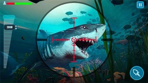 幸存者鯊魚射擊獵人游戲