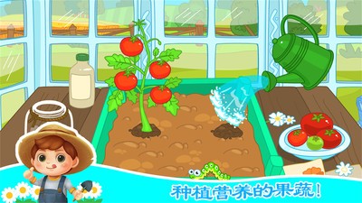 寶寶芭芭農(nóng)場 v1.14 安卓版 2