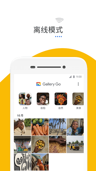 gallerygo谷歌圖庫(kù)精簡(jiǎn)版 v1.8.4.404382111 安卓版 0