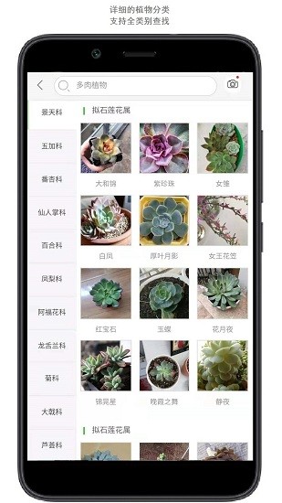 行色拍照識(shí)花app