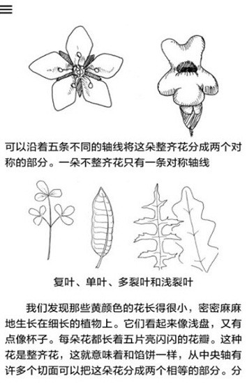野外植物識別手冊