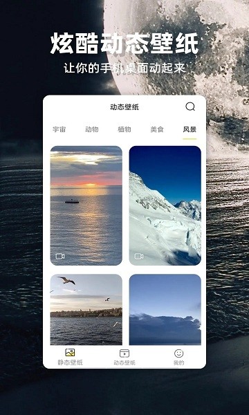 蘋(píng)果壁紙軟件 v2.0.0 安卓版 0