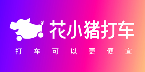 花小豬