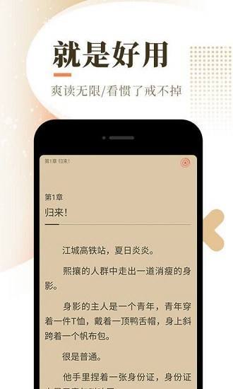 泰山小說(shuō)下載