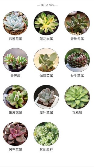 植物君1