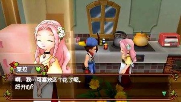 牧場物語蜜糖村與大家的心愿游戲