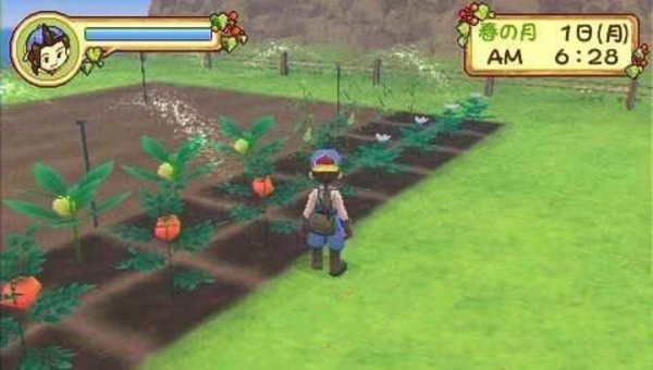 牧場物語蜜糖村與大家的心愿漢化版 v1.0.0 安卓最新版 3