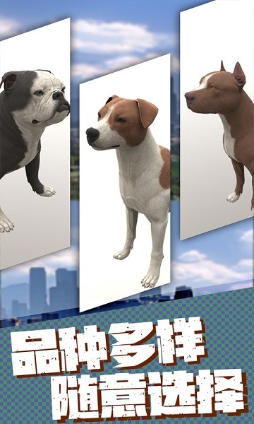流浪狗生存模擬器手游 v1.2 安卓版 3
