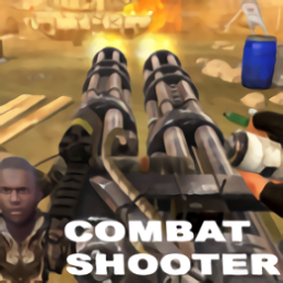 團隊死亡競賽(combat shooter)