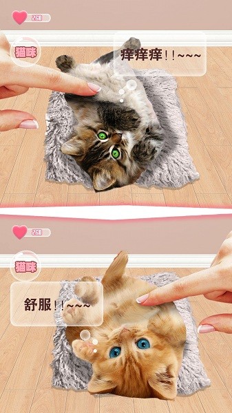 貓咪語言翻譯器中文版 v1.0 安卓版 2