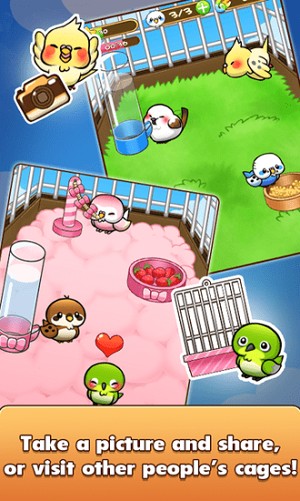 鳥鳥人生(Bird Life) v1.6.11 安卓版 1