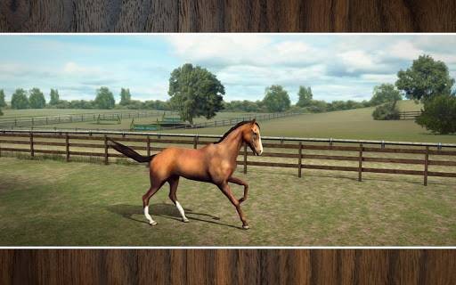 我的馬兒(My Horse) v1.37.1 安卓版 2