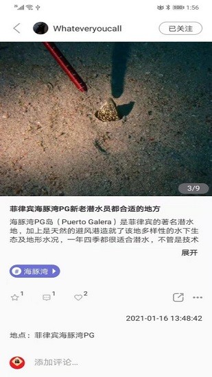 潛水指南moredive v1.0 安卓版 0
