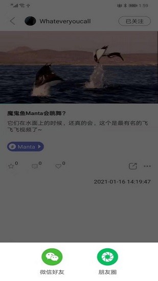 潛水指南moredive手機版