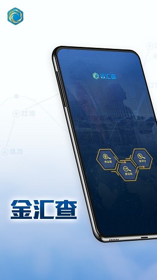 金匯查軟件 v1.0.0 安卓版 0