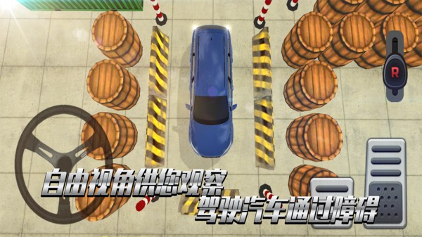 老司機考科目二手游 v1.0.0 安卓版 0