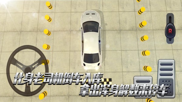 老司機考科目二手游 v1.0.0 安卓版 3