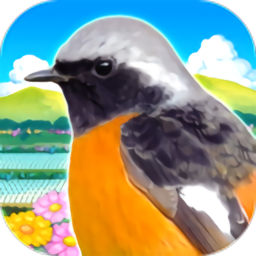 雀鳥樂(lè)園(鳥パラダイス)