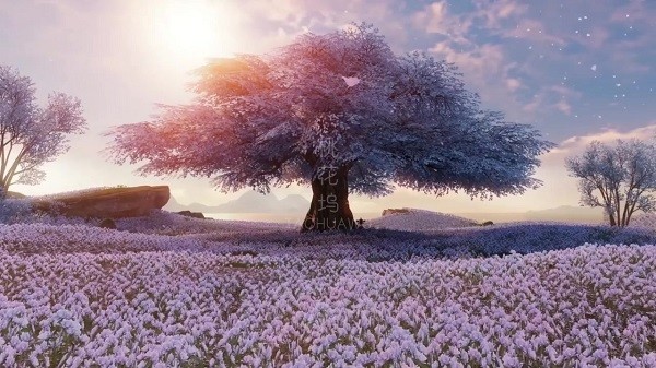 幽冥幻境游戲