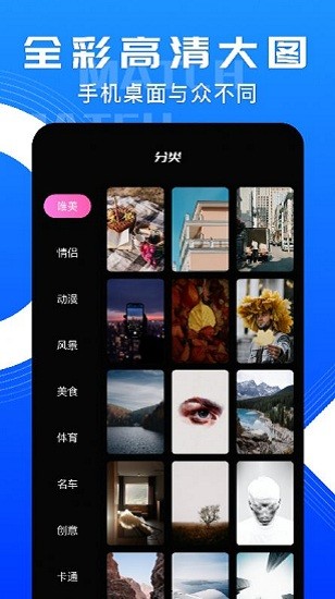 小鳥(niǎo)主題壁紙官方版 v1.1 安卓版 0