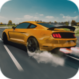 公路賽車手賽車(Highway Racer)