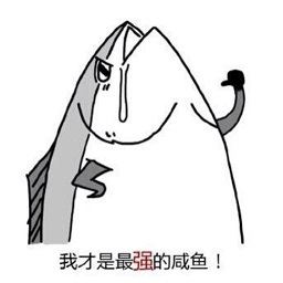 我的世界咸魚空島整合包