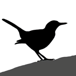 懂鳥全球鳥類識別軟件