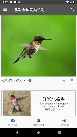 懂鳥全球鳥類識別軟件 v0.0.10 安卓版 2