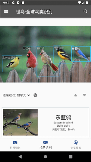 懂鳥全球鳥類識別軟件 v0.0.10 安卓版 1