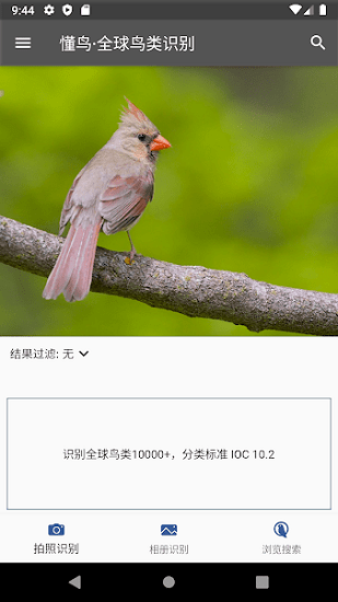 懂鳥全球下載